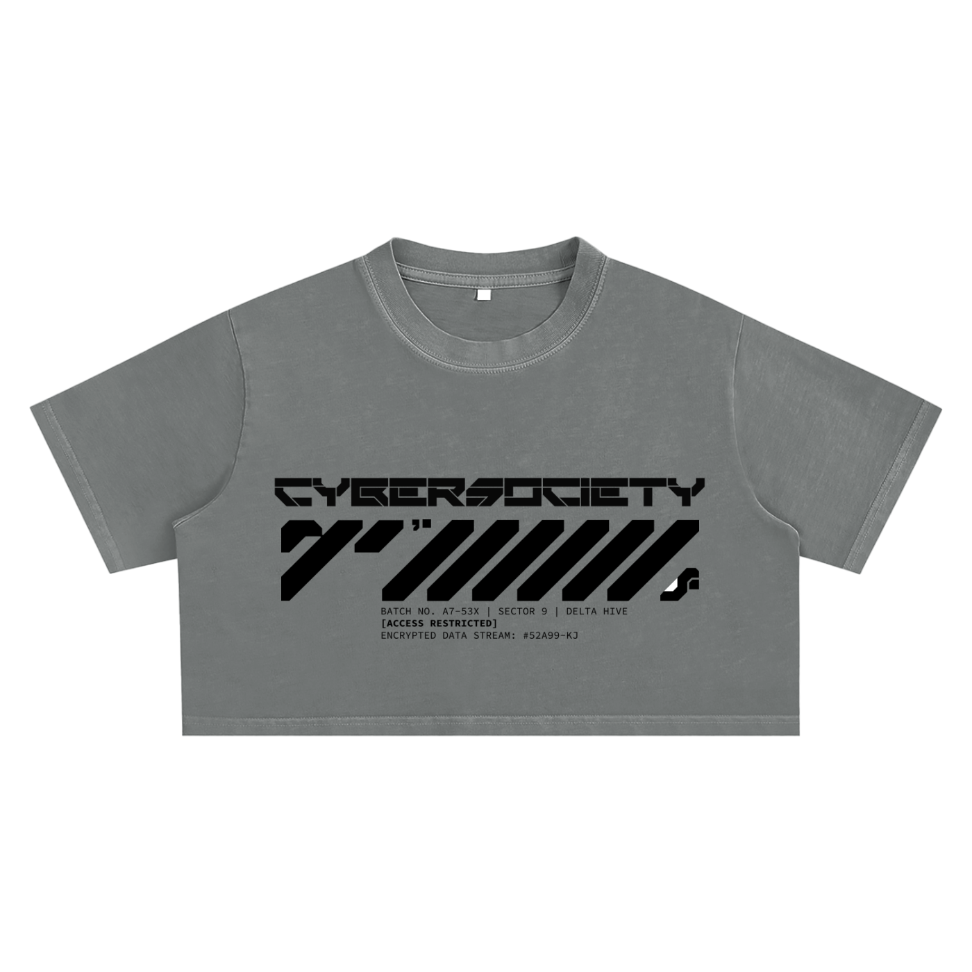 Access Restricted | Techwear Crop Top - CYBERSOCIETY