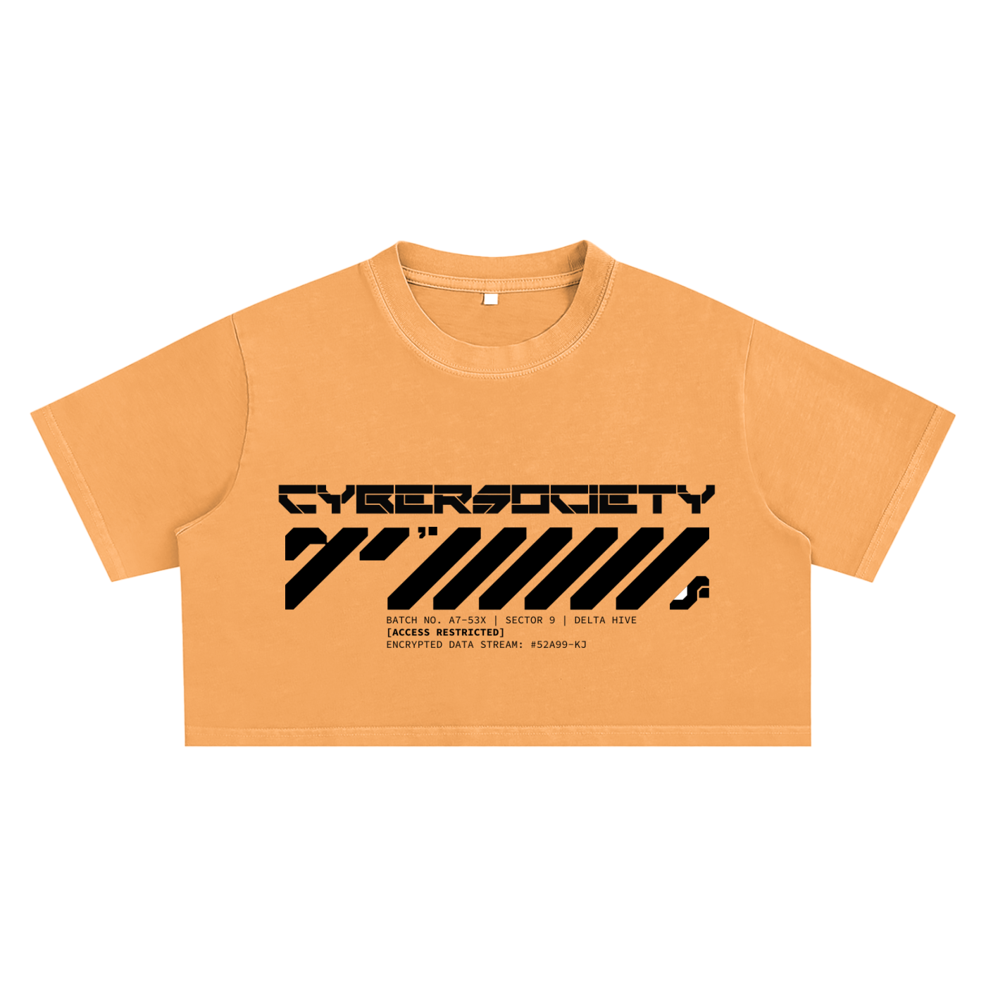 Access Restricted | Techwear Crop Top - CYBERSOCIETY