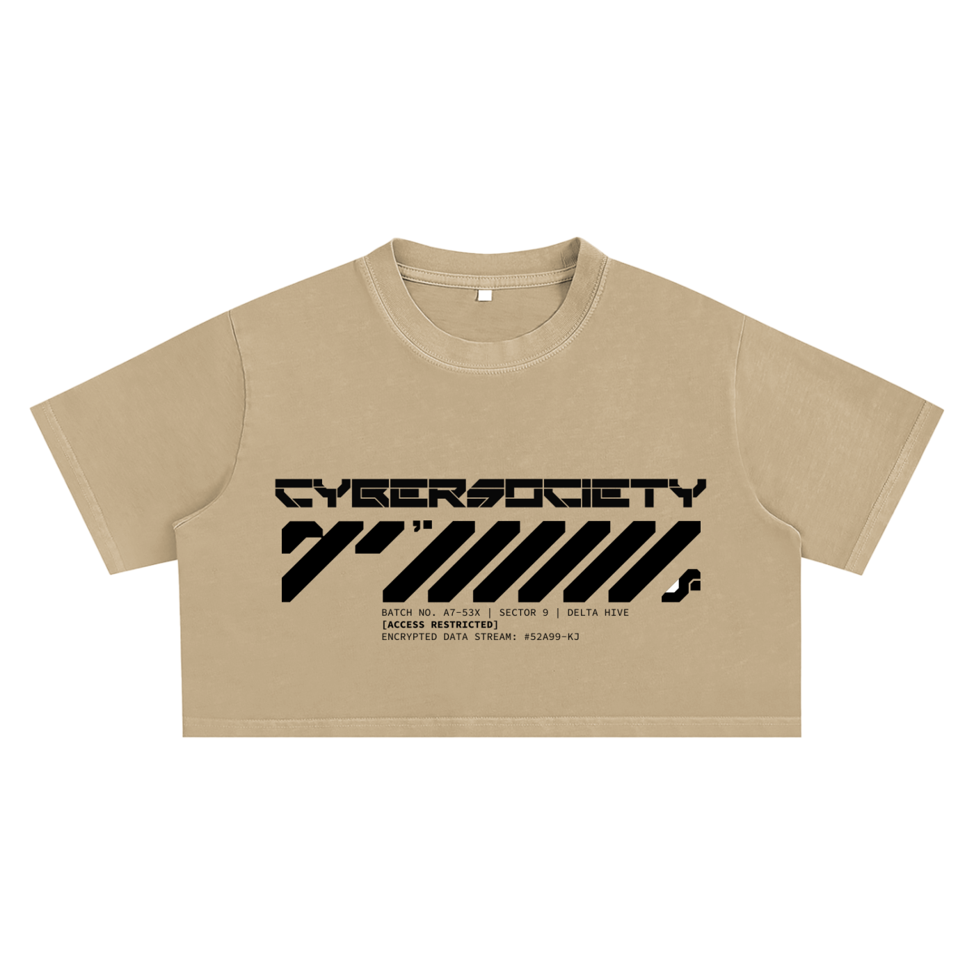 Access Restricted | Techwear Crop Top - CYBERSOCIETY